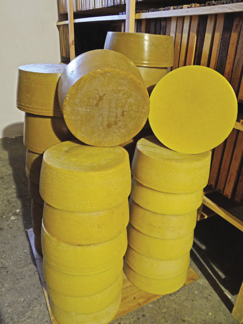 Obrót i przechowywanie ramek w pasiece